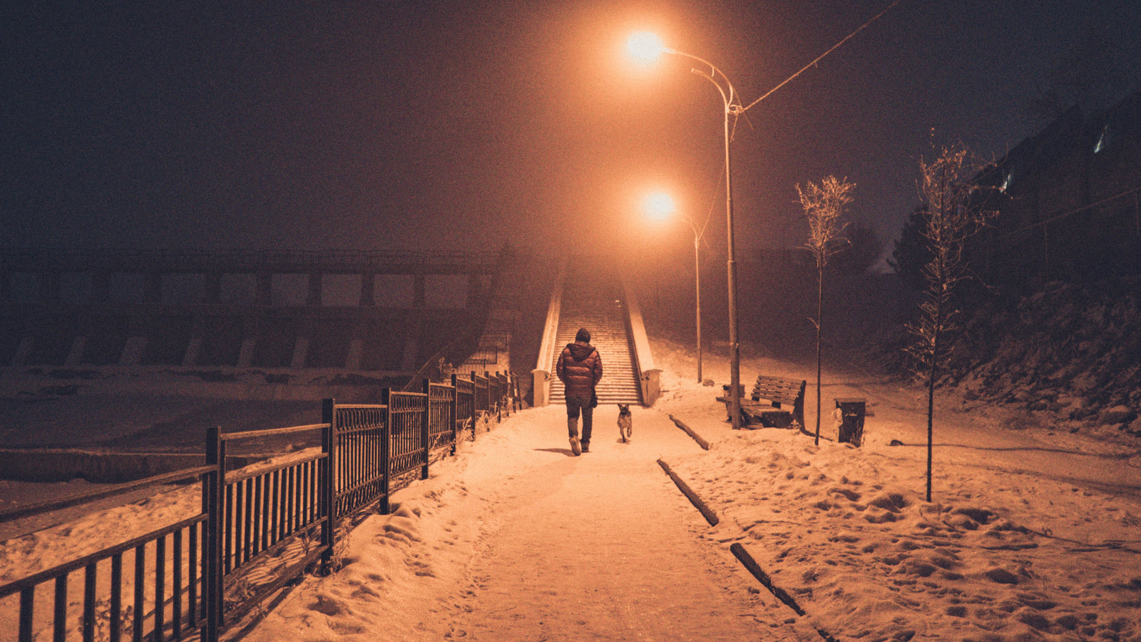 Safely Navigating the Night: Essential Tips for Walking Your Dog in the Dark