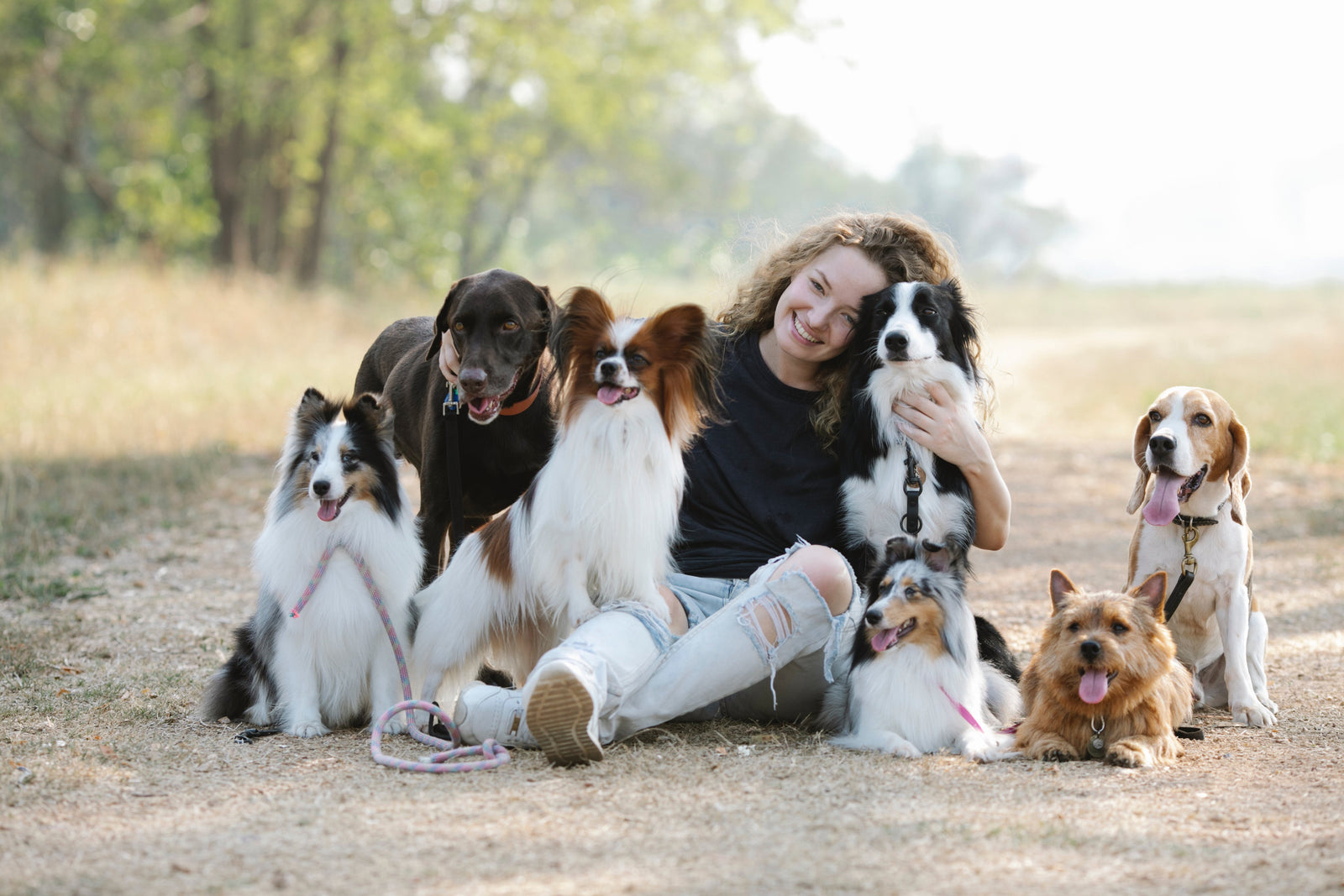 Understanding Canine Body Language