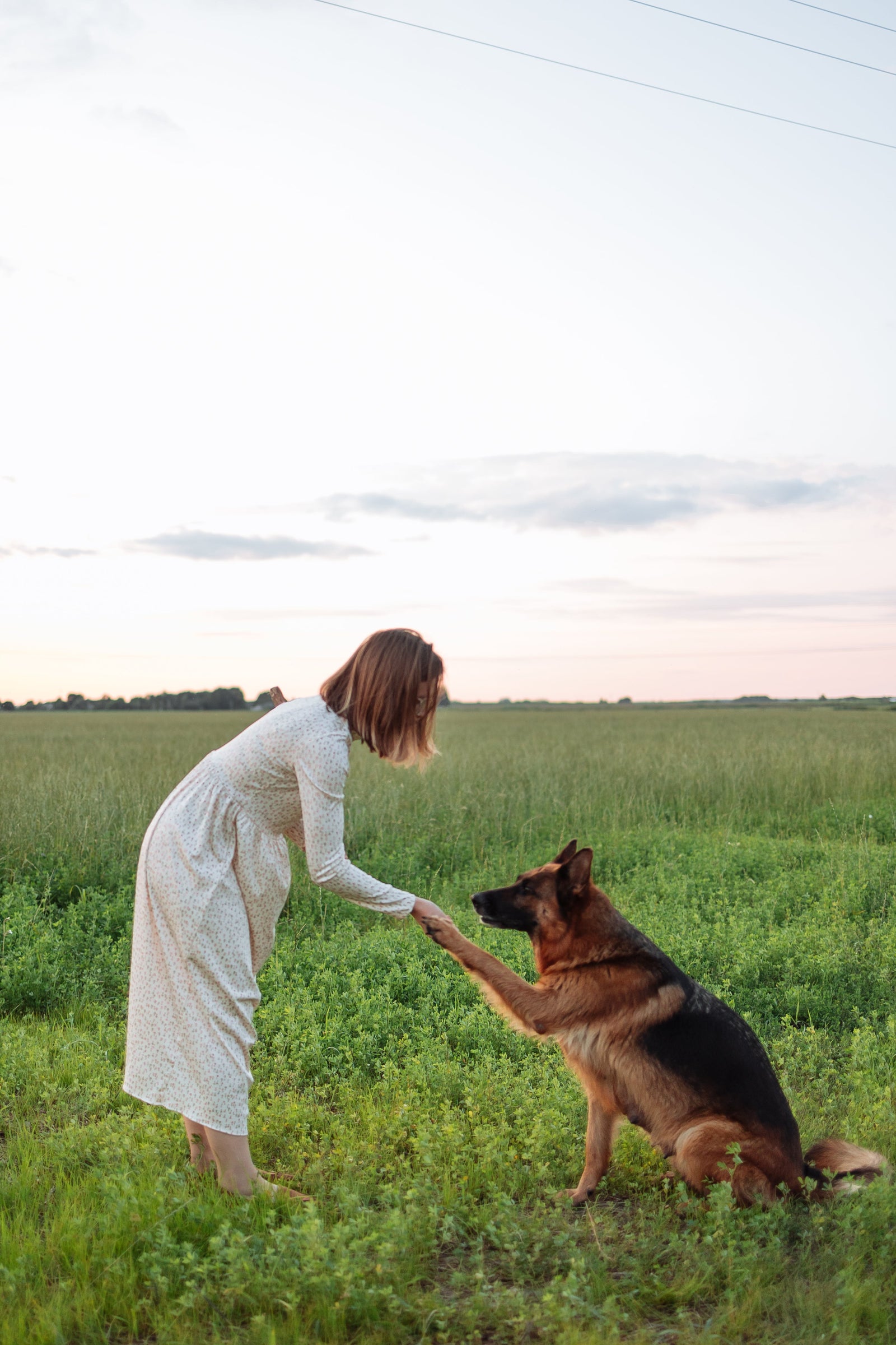 5 Cool Tricks to Easily Teach Your Dog