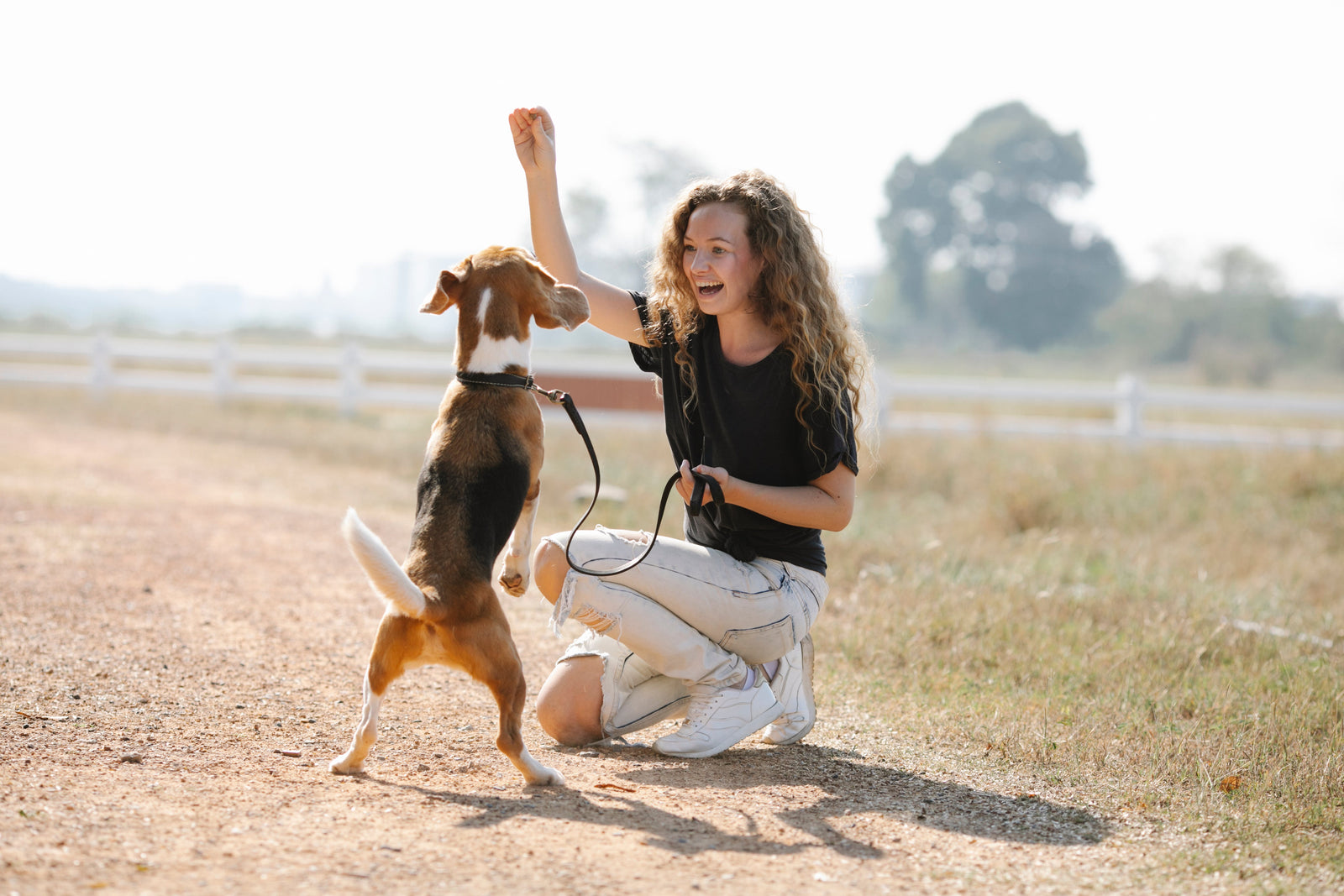 Unleashing the Best: The Importance of Proper Leash Training for Your Canine Companion