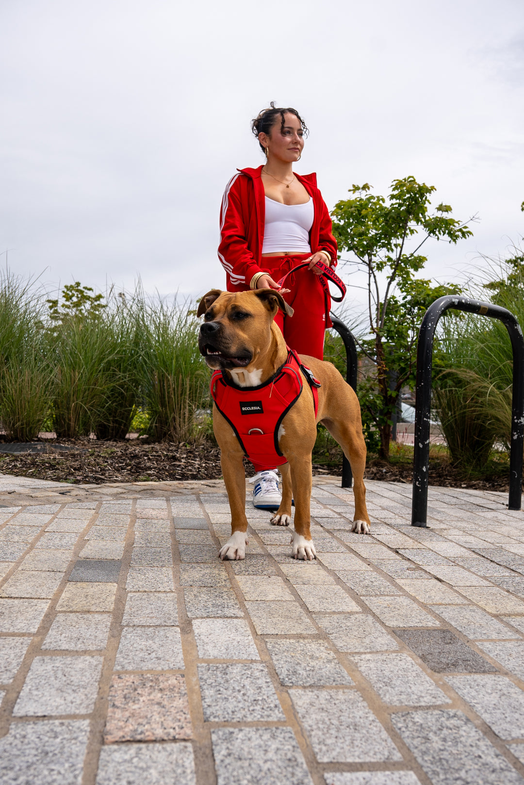 Premium Harness Red