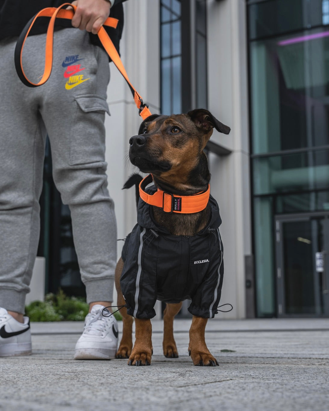 Nike clearance dog leash